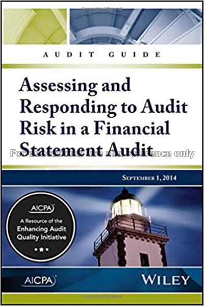 Assessing and responding to audit risk in a financ...