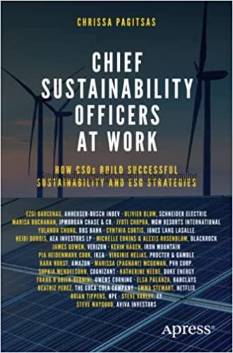 Chief sustainability officers at work : how CSOs b...