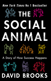 The social animal : a story of how success happens...